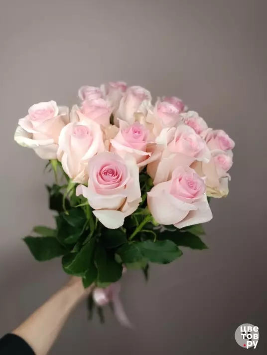 15 розовых роз с ленточкой