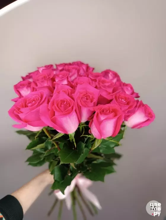 25 розовых ярких роз с ленточкой