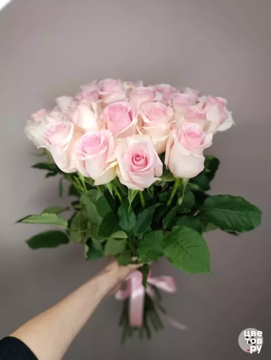 25 розовых роз с ленточкой