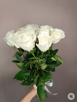 11 белых роз с ленточкой